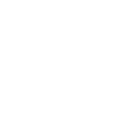 Icono Despedida de Solteros